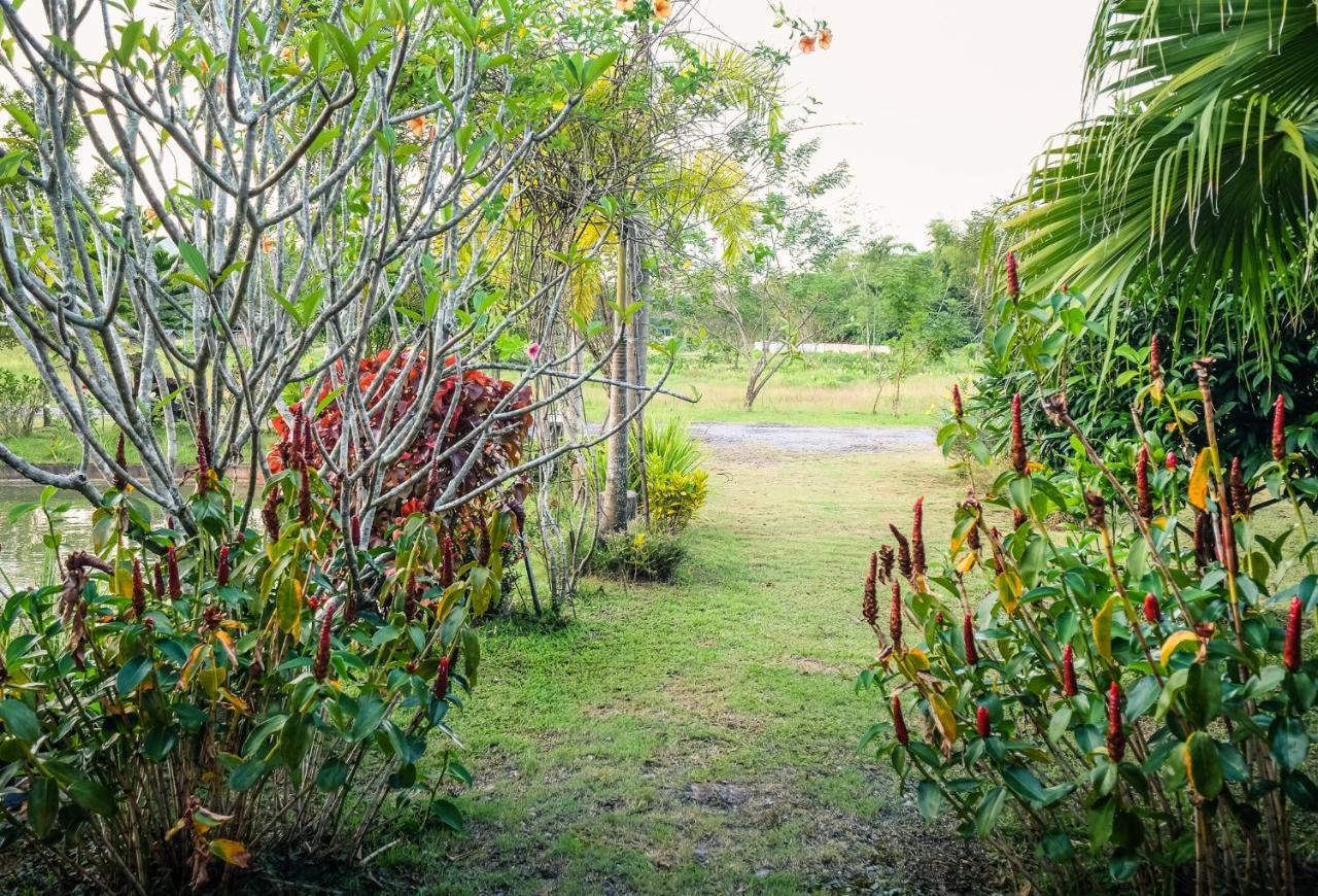 Rommai Villa Chiang Rai Ban Pa Sang Экстерьер фото